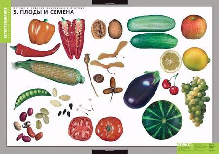 Летние и осенние изменения в природе (13таблиц +32карты)