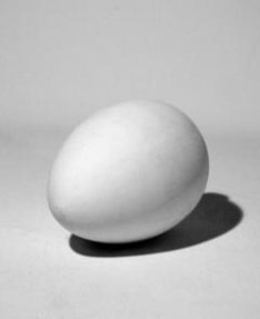 Геометрическая фигура "Яйцо" (гипс)