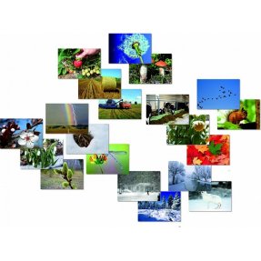 Фенологические наблюдения (карточки на магните)