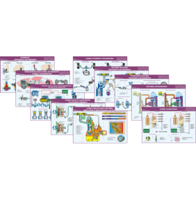 Принципиальные схемы устройства и работы систем и механизмов транспортных средств  (плакаты )