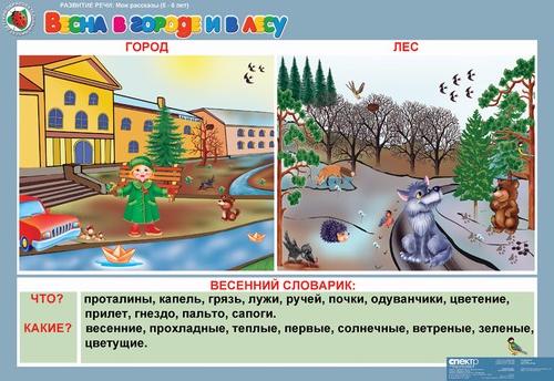 Развитие речи 5-6 лет "Мои рассказы" (8 табл.)