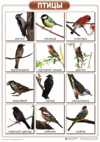 Комплект таблиц "Окружающий мир" 10 шт. 50х70