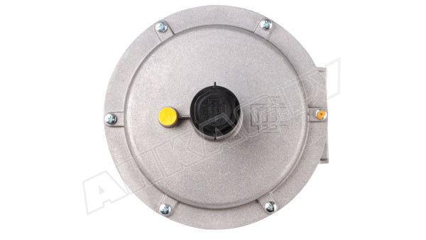 Регулятор давления газа Giuliani Anello FGDR50/40