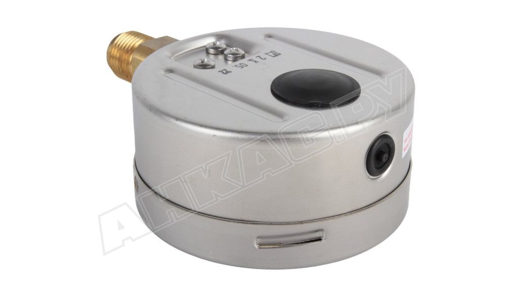 Манометр Kromschroder RFM 6RB100, 6 бар