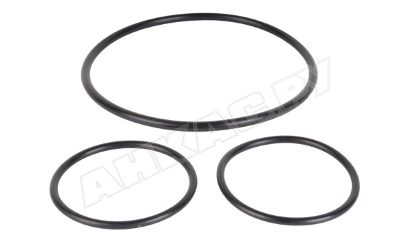 Ремкомплект Piusi R1284600A