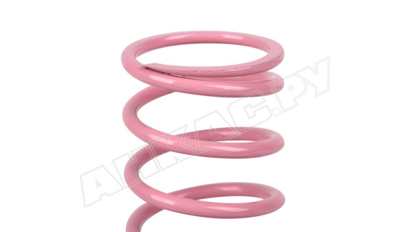Пружина розовая Dungs 100-150 мбар, 229881
