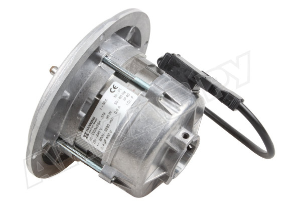 Электродвигатель Hanning OE6W2B4-379