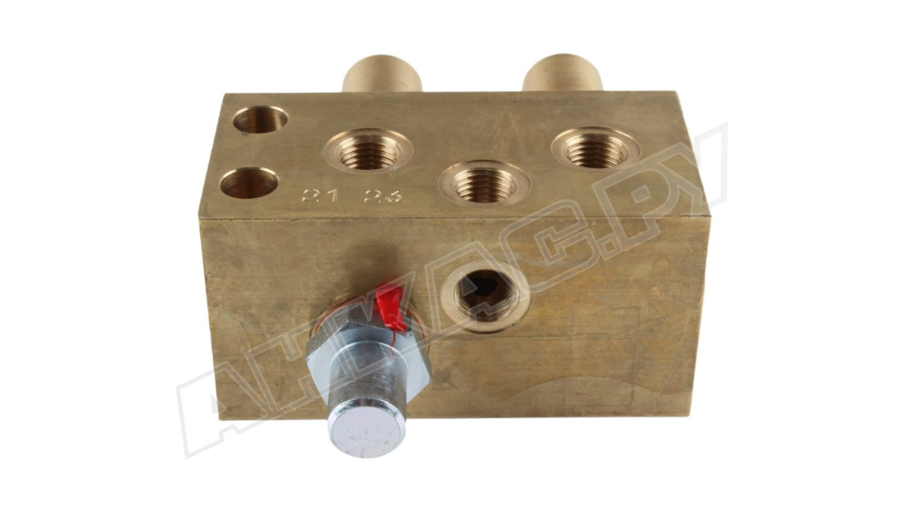 Распределительный блок Riello 3003002