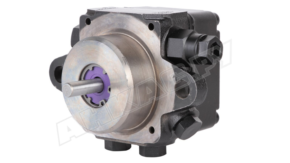 Насос для горелки Ecoflam D 67 A 7276 3P