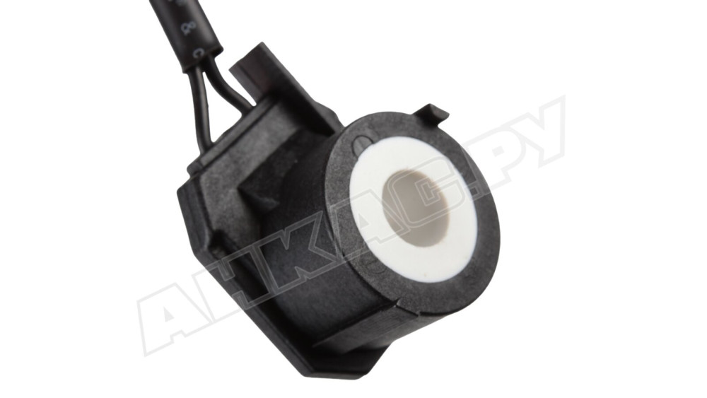 Электромагнитная катушка Riello 3007481