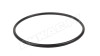 Уплотнительное кольцо Piusi Viscomat DC, R09963000