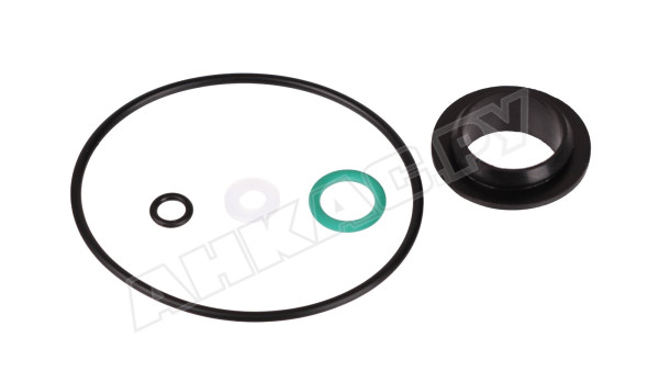 Ремкомплект фильтра Giuliani Anello 3200