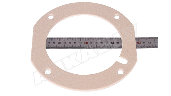 Комплект фланцевых прокладок Riello, 3002950