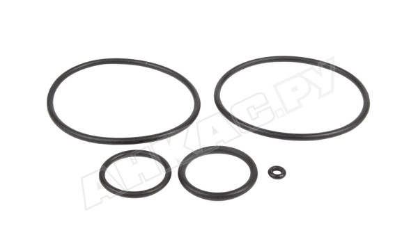 Комплект уплотнительных колец Cuenod CG15, 13016257