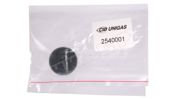 Сцепление электродвигателя CIB Unigas V105