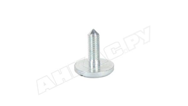 Фиксирующий винт кожуха Ecoflam M5 x 15 мм, 65300519