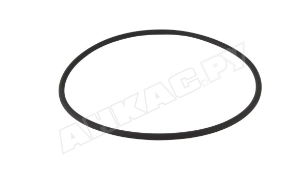 Уплотнительное кольцо Piusi R18220000