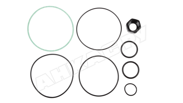 Комплект уплотнительных колец Piusi R16716000