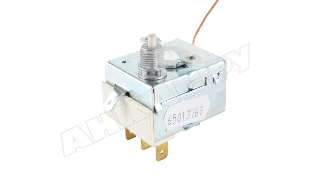 Предохранительный капиллярный термостат Imit LS1 6025 90/110°C