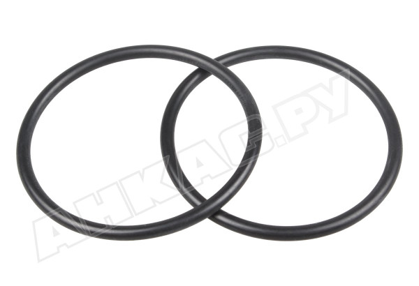 Уплотнительные кольца Piusi 2 шт, R08417000