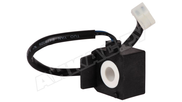 Электромагнитная катушка Riello R.B.L. 3007858