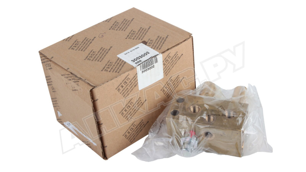 Распределительный блок Riello 3003002