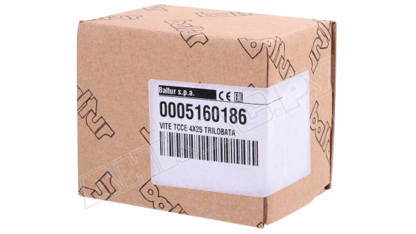 Винт Baltur 4 x 25, 0005160186