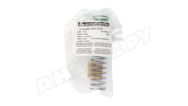 Пружина Giuliani Anello E395