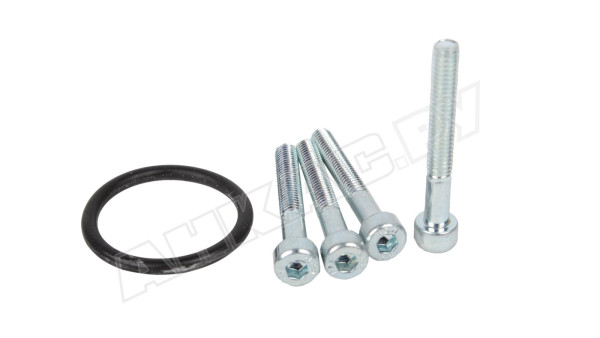 Реле давления GW 150 A5 с Фланцем Dungs 245371