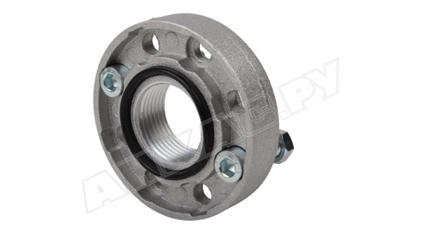 Комплект фланца Piusi, F1290400A