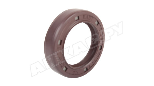 Сальник насоса Piusi, R08772000