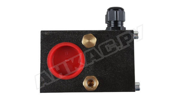 Реле давления Piusi Flowmat 230.12