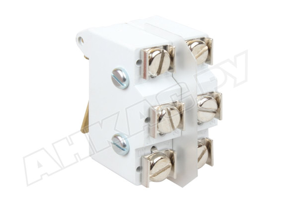 Микровыключатель двойной Giersch 40T85 50E3