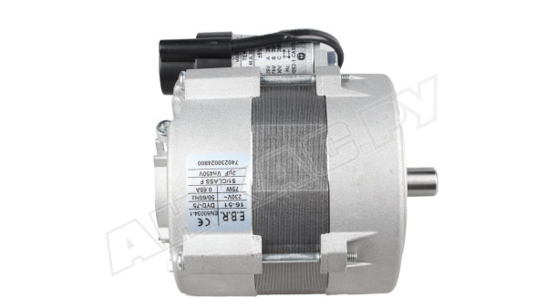 Электродвигатель Elco EBR DYD-75 F120/R Gas