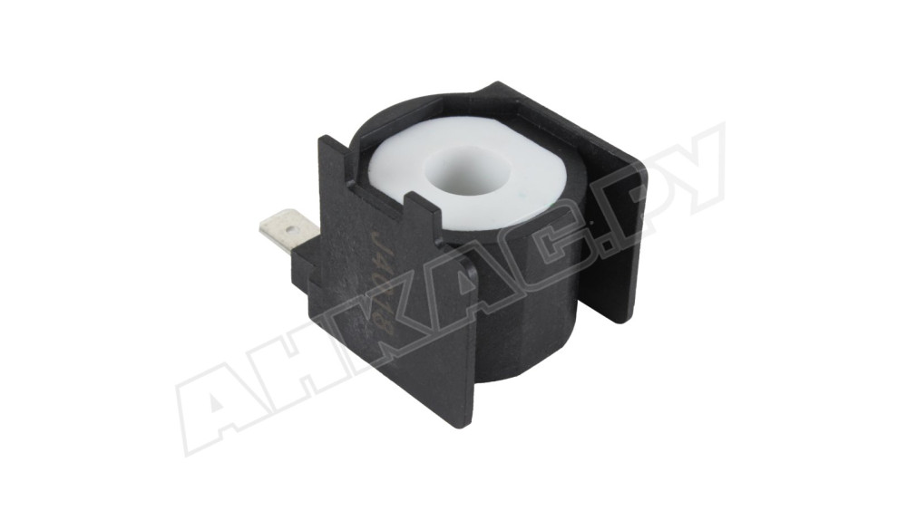 Электромагнитная катушка Riello 3007565