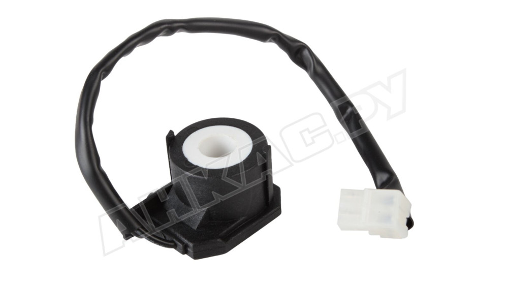 Электромагнитная катушка Riello 3007481