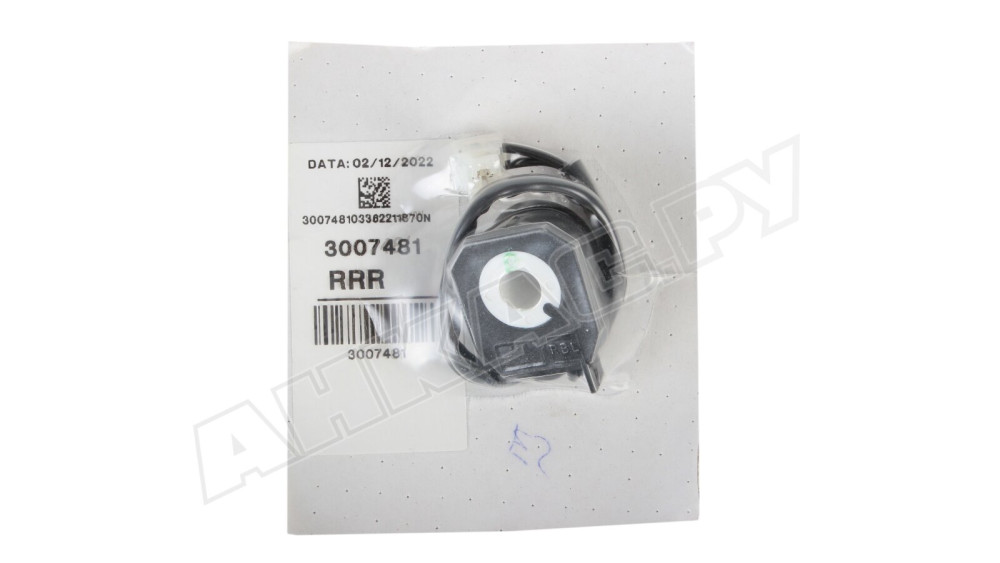 Электромагнитная катушка Riello 3007481