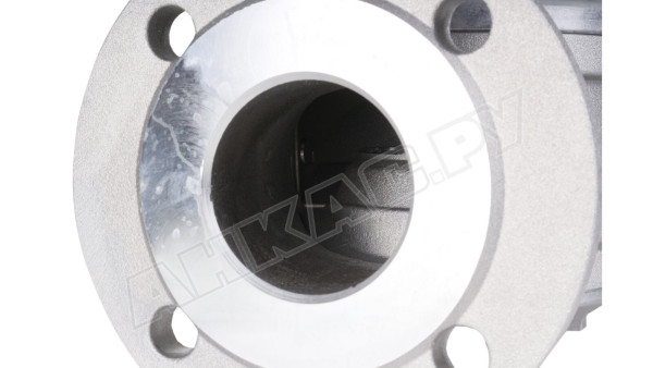 Регулятор давления газа Dungs FRS 5065