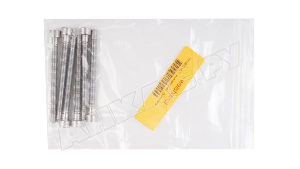 Винт регулировочный Weishaupt, 12136221827