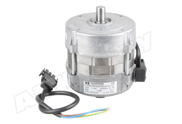 Электродвигатель Hanning O1A095-030P0009-036-001OF0-427, 90 Вт