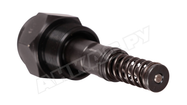 Форсунка Bergonzo C5 900/60° AA