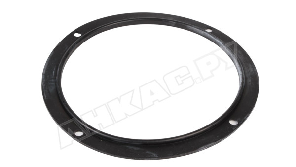 Ремкомплект фильтра Giuliani Anello 3197