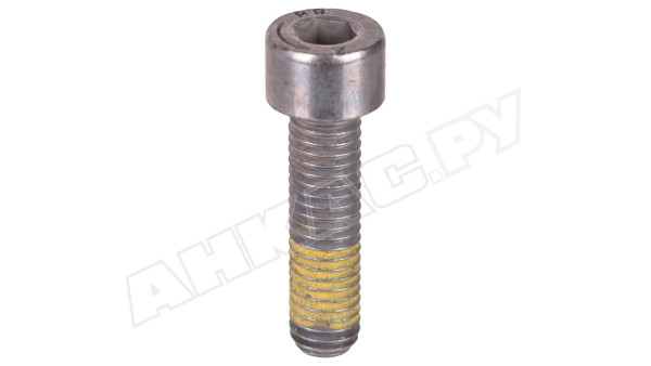 Винт Weishaupt M8 X 30, 402560