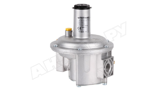 Регулятор давления газа Giuliani Anello FGD15