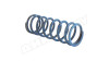 Пружина Giuliani Anello E1214